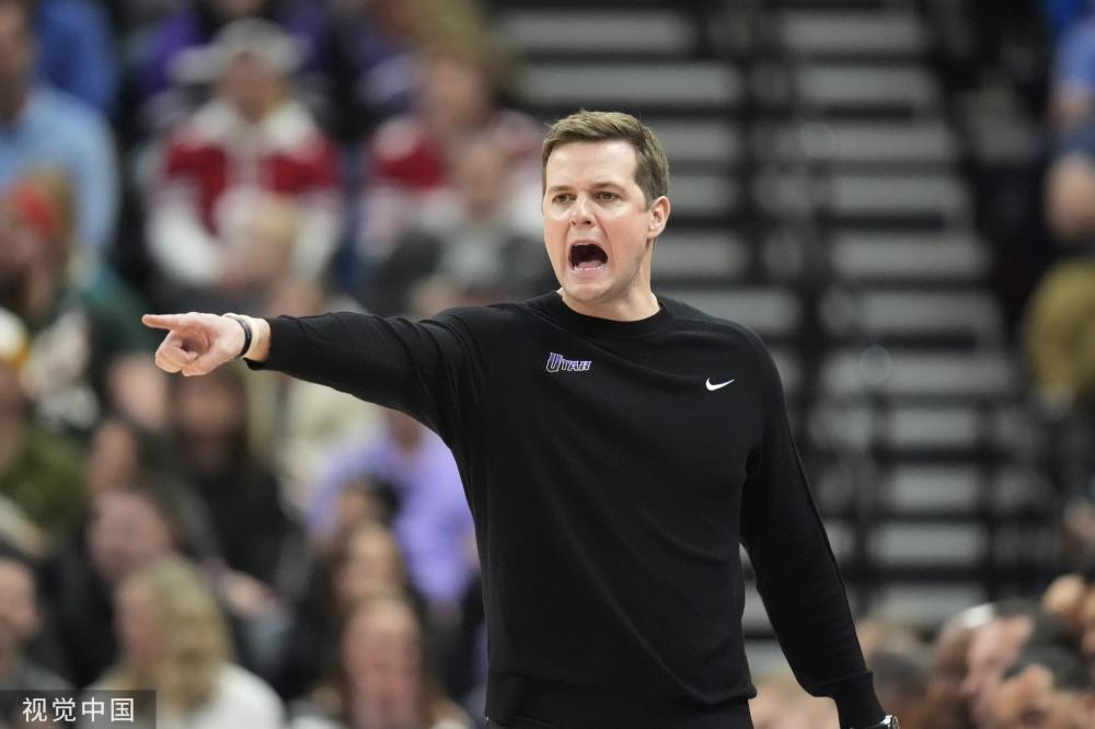 归提供坚实 归提供坚实